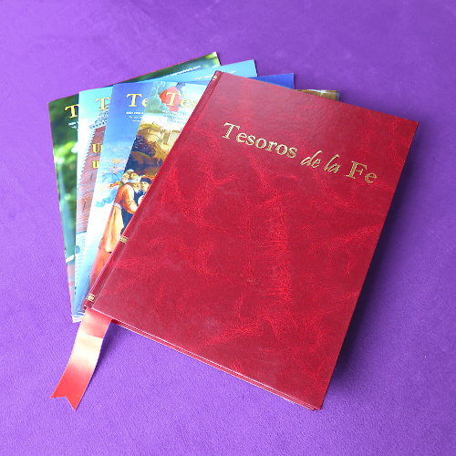Libro Colecci�n Tesoros de la Fe - A�os 2019 al 2020 &mdash; Tienda de F&aacute;tima Per&uacute;